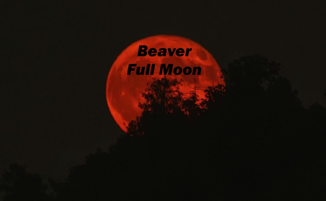 BEAVER FULL MOON TONIGHT and Tomorrow Night your Wishes! Extreme Super Full Moons for Extreme Power